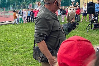 Obrázek č.32